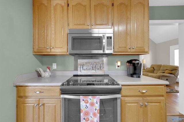 kitchen featuring lofted ceiling and stainless steel appliances