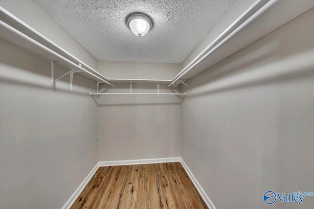 walk in closet with wood finished floors