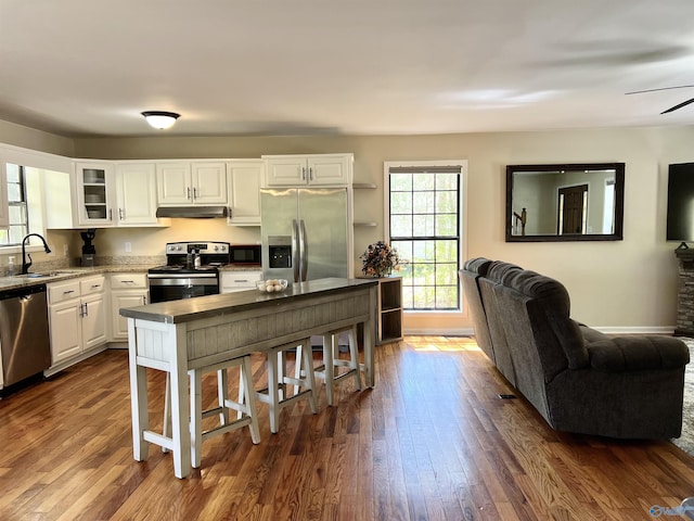 kitchen featuring under cabinet range hood, dark wood-style flooring, a sink, stainless steel appliances, and open floor plan