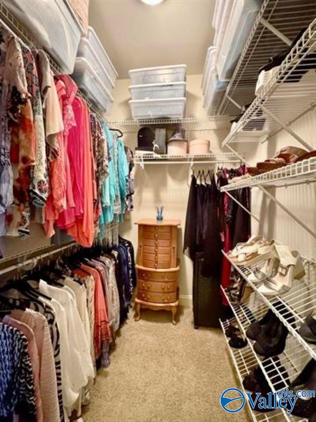 walk in closet featuring light carpet