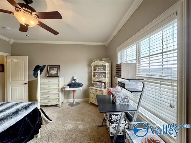 bedroom featuring ceiling fan and ornamental molding