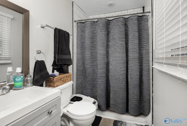 bathroom featuring wood finished floors, toilet, and vanity