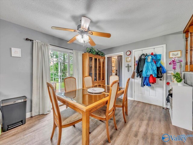 812 Mitwede St SW, Hartselle, AL 35640 - dining room featuring light wood-style flooring, ceiling fan, a textured ceiling, and baseboards