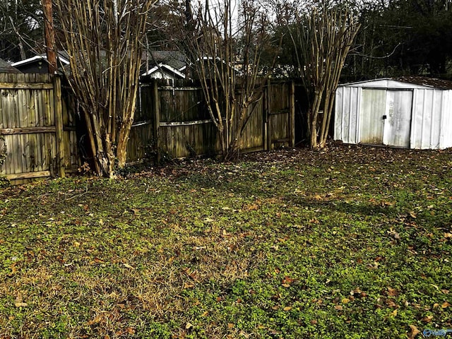 view of yard with a storage shed