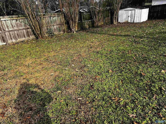 view of yard with a storage unit