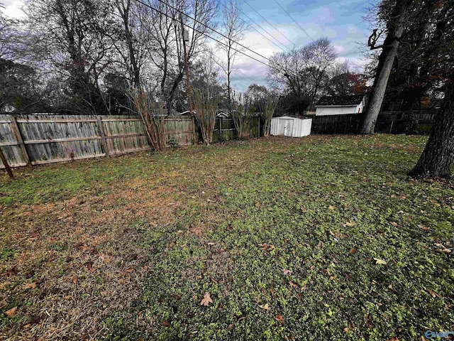 view of yard featuring a storage shed