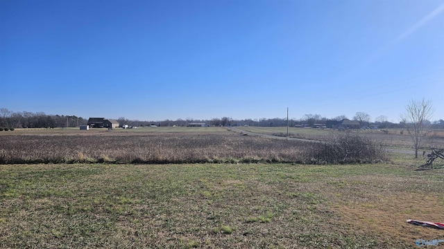 view of yard with a rural view