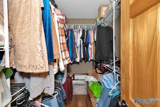 spacious closet featuring wood-type flooring