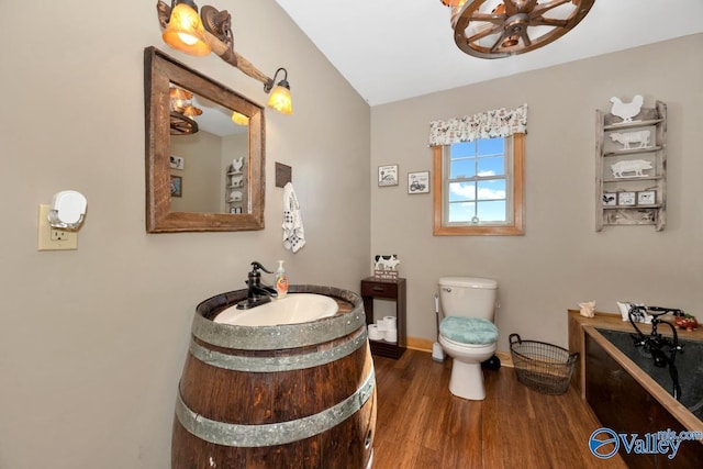 bathroom with vanity, hardwood / wood-style flooring, and toilet