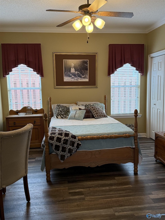 504 Sussex Dr SW, Huntsville, AL 35824 - bedroom with multiple windows, dark wood-style floors, ornamental molding, a textured ceiling, and a ceiling fan