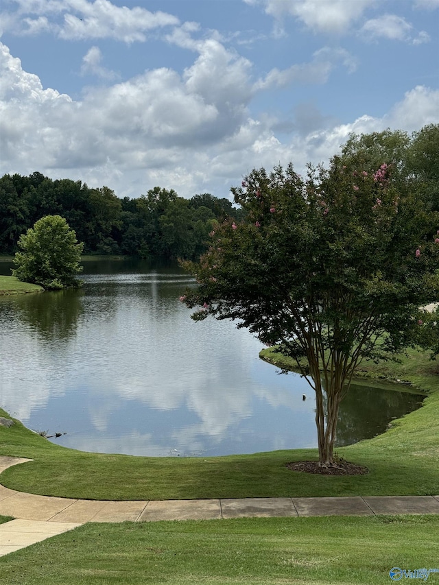 504 Sussex Dr SW, Huntsville, AL 35824 - water view