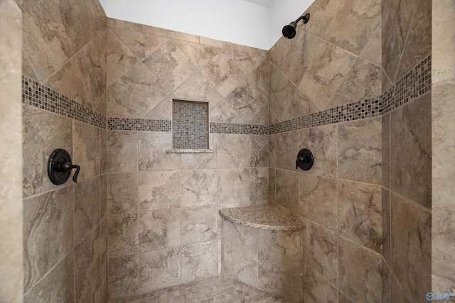 interior details with tiled shower