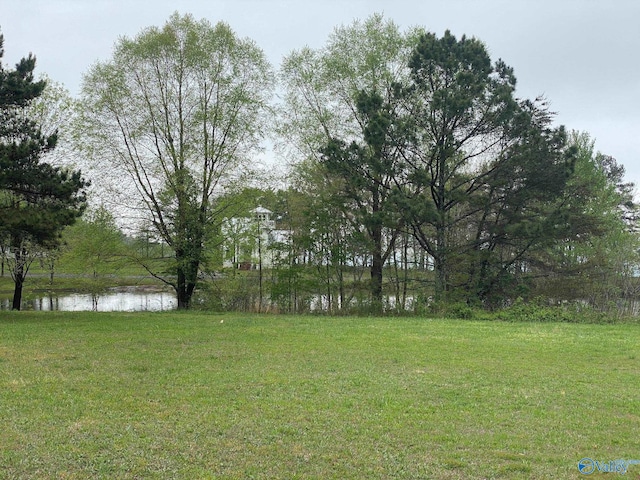 LOT302 Main St, Pisgah AL, 35765 land for sale