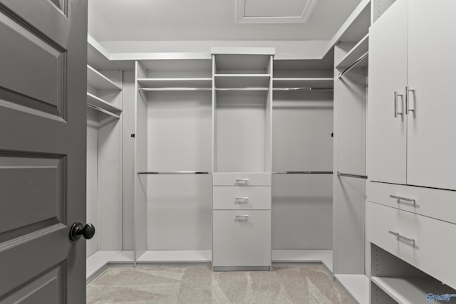 view of walk in closet