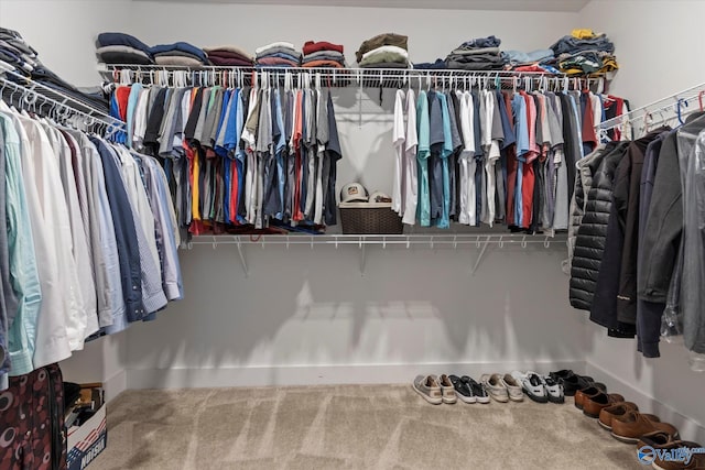 111 Starling Dr, Madison, AL 35756 - walk in closet with carpet flooring