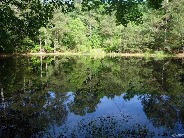 2308 County Road 458, Fort Payne, AL 35968 - water view with a heavily wooded area
