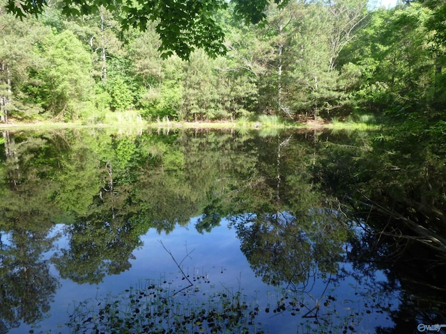 2308 County Road 458, Fort Payne, AL 35968 - water view featuring a forest