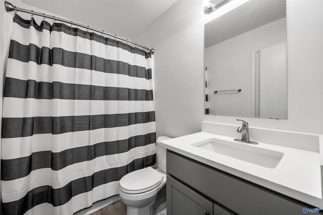 bathroom with vanity, wood finished floors, toilet, and curtained shower