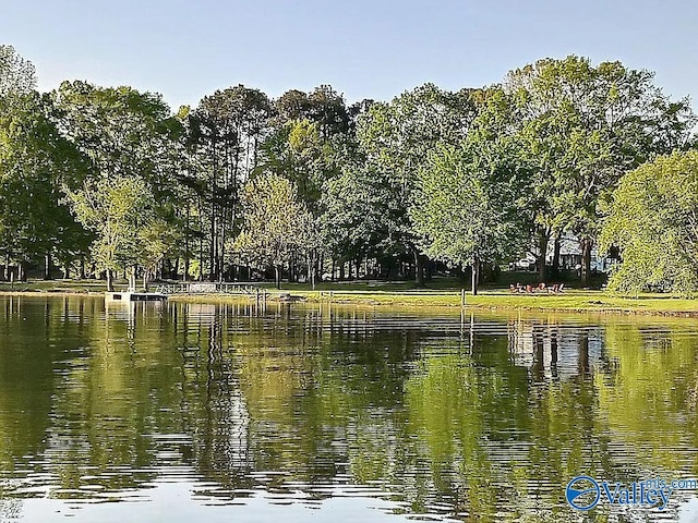 view of water feature