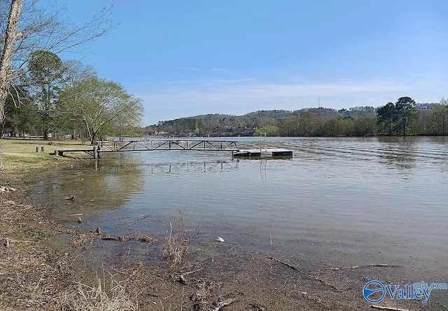 water view with a floating dock