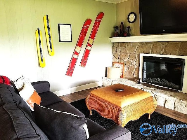 living room featuring a fireplace and wood finished floors