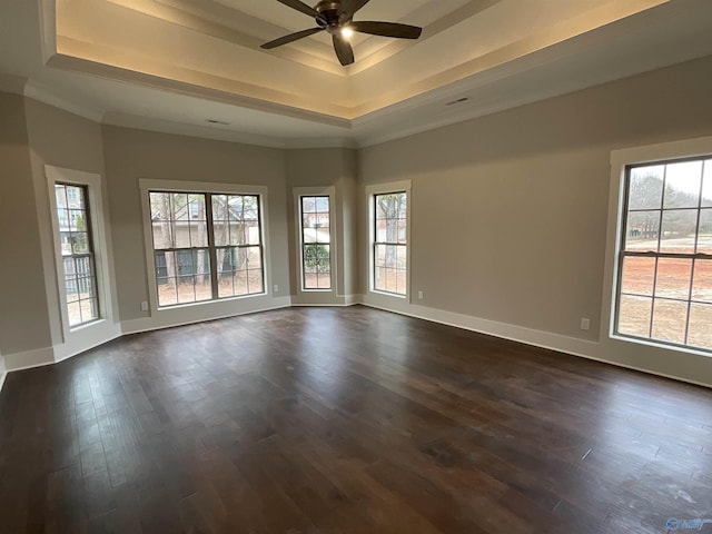 empty room with a healthy amount of sunlight and a raised ceiling