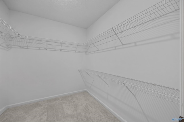 138 Spring Farm Rd, Huntsville, AL 35811 - walk in closet with carpet floors