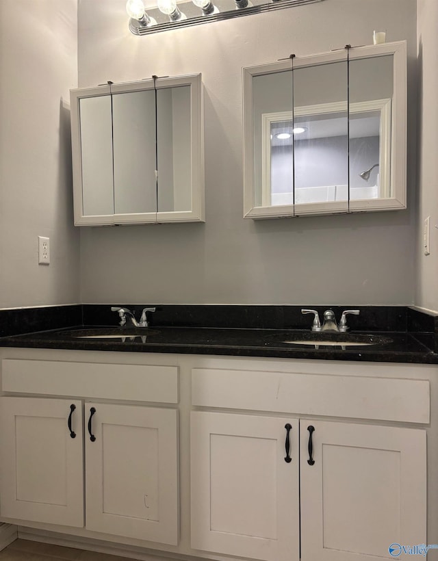 full bathroom with a sink and double vanity