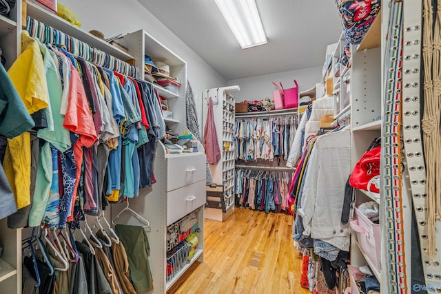 152 W Dr, Fyffe, AL 35971 - spacious closet with wood-type flooring