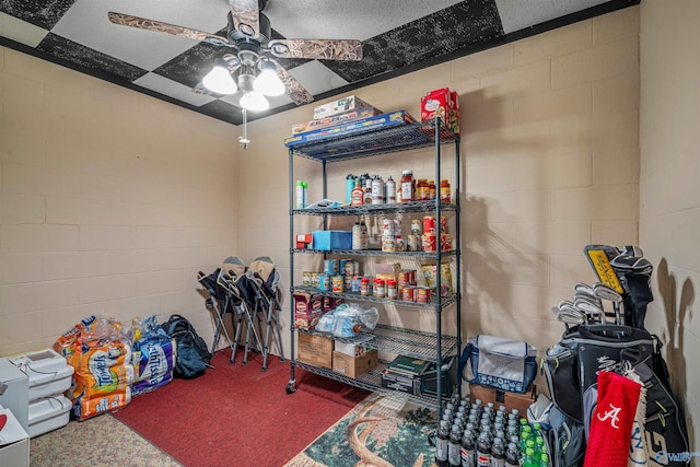 152 W Dr, Fyffe, AL 35971 - storage with a ceiling fan