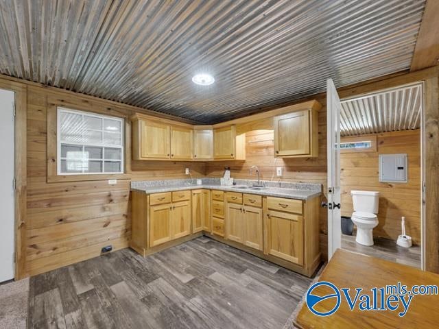 kitchen featuring sink, wooden walls, light brown cabinets, and dark hardwood / wood-style flooring