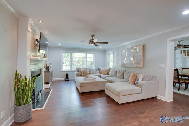 living room with crown molding, dark wood-type flooring, and ceiling fan