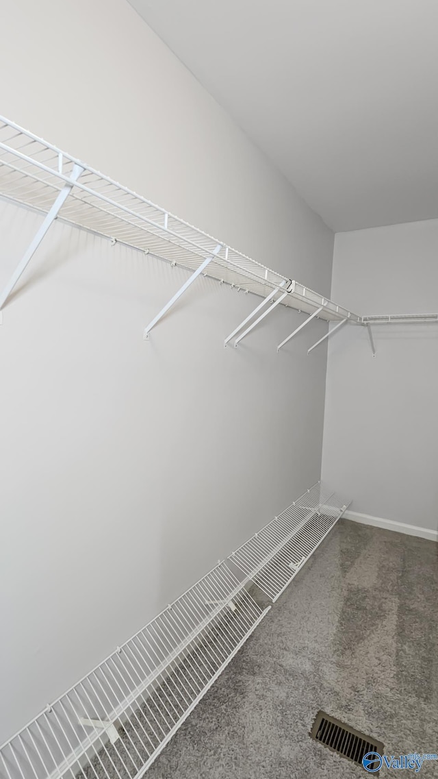 spacious closet featuring carpet and visible vents