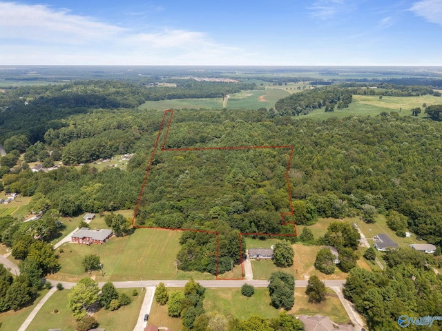 11ACRES Carters Gin Rd, Toney AL, 35773 land for sale