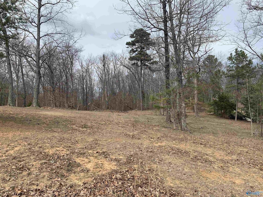 129 Ridgecreek Dr, Gurley, AL 35748