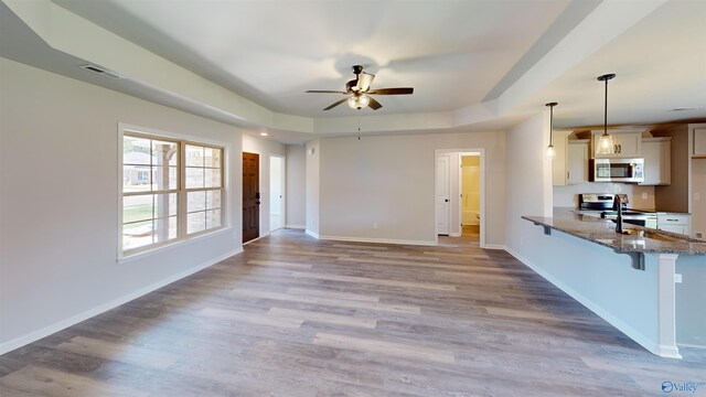 kitchen with ceiling fan, a tray ceiling, white cabinets, appliances with stainless steel finishes, and light hardwood / wood-style flooring