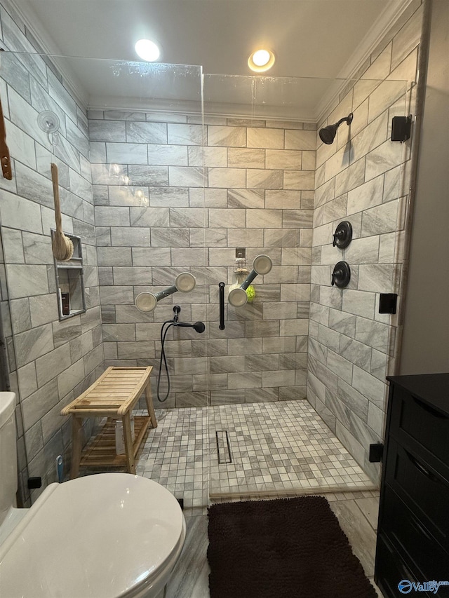 bathroom with a stall shower and toilet