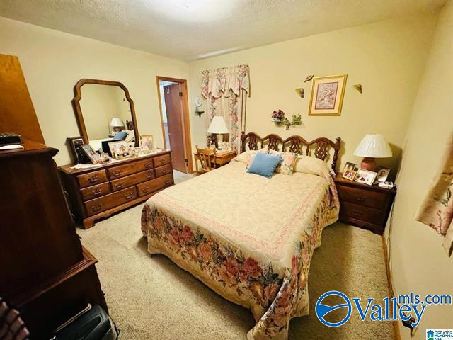 bedroom with carpet flooring and a textured ceiling