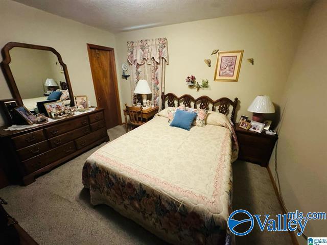 bedroom featuring carpet and a textured ceiling