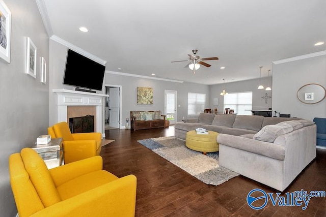 living room with ceiling fan with notable chandelier, crown molding, and dark wood-type flooring