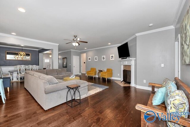 living room featuring crown molding, dark wood-type flooring, and ceiling fan with notable chandelier