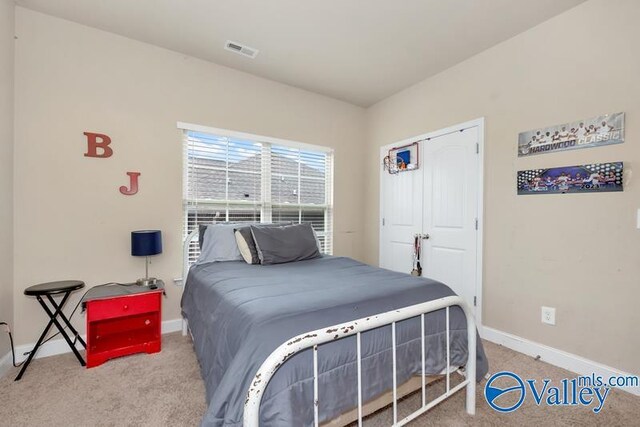 bedroom with carpet floors and a closet