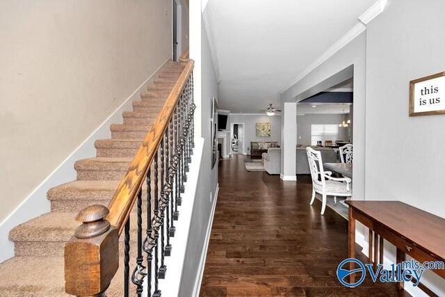 stairway featuring dark hardwood / wood-style floors, ornamental molding, and ceiling fan