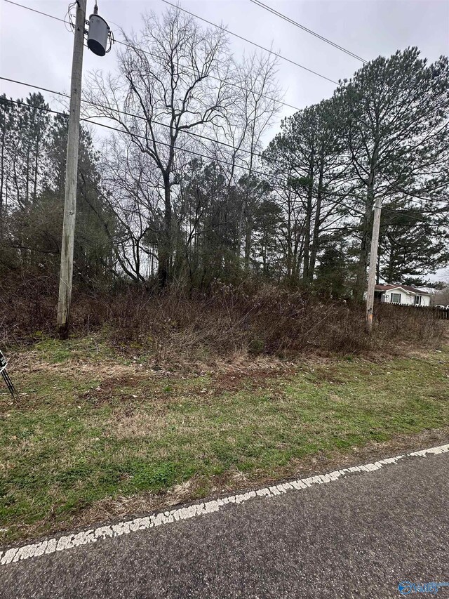 TRACT2 Mckee Rd, Harvest AL, 35749 land for sale