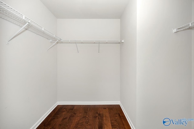 104 Summer Pointe Ln, Madison, AL 35757 - walk in closet with dark wood-type flooring
