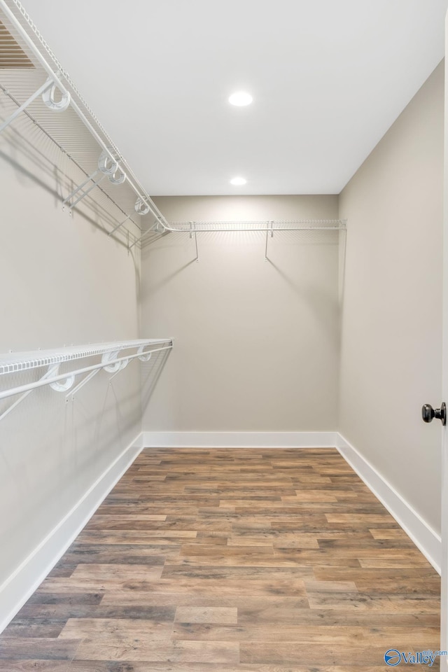 walk in closet with wood-type flooring