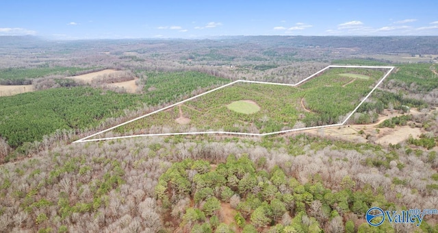 1 County Road 288, Collinsville AL, 35961 land for sale