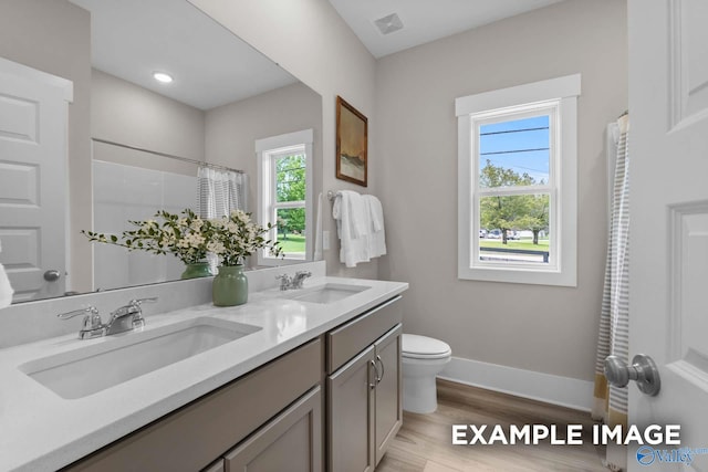 bathroom featuring toilet, dual bowl vanity, and hardwood / wood-style flooring