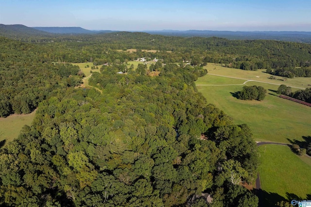 bird's eye view with a mountain view