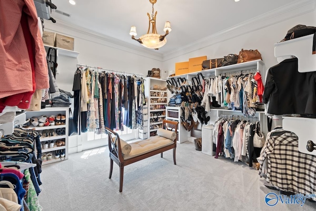 3127 Haddonstone Dr SE, Owens Cross Roads, AL 35763 - walk in closet with carpet floors